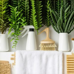 Read more about the article Is Your Cleaner Toxic? 5 Eco Friendly House Cleaning Swaps