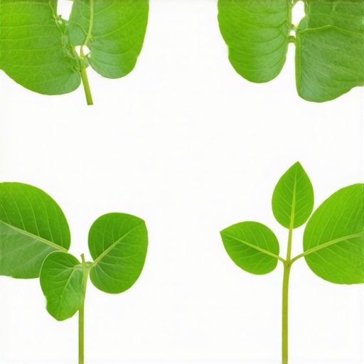 Why These 4 Plant-Based Sanitizers Beat 70% Alcohol in 2026